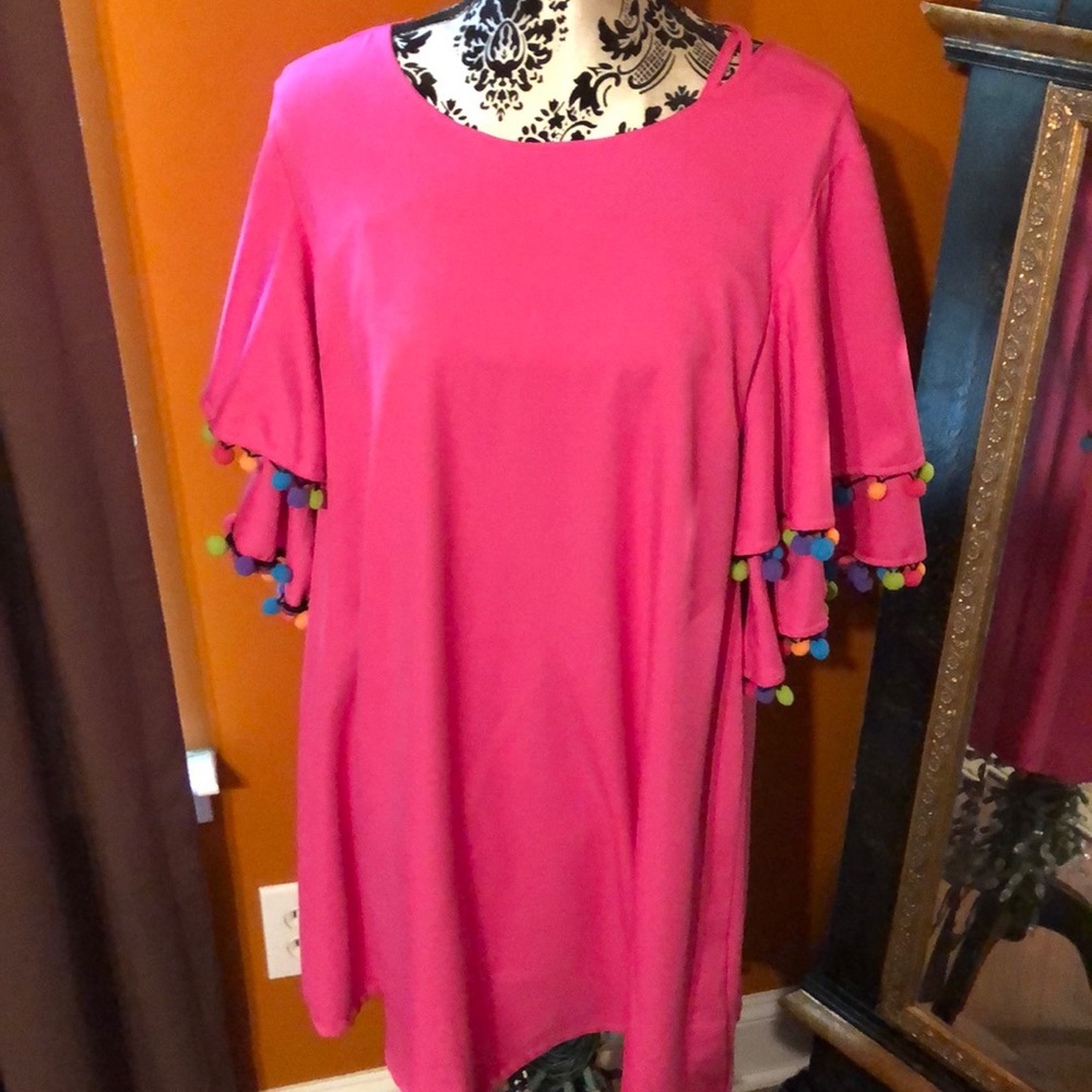 Hot pick dress with multi colored tassels.